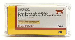 felocell cvr vaccine cats